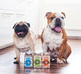 Load image into Gallery viewer, Freeze Dried Grain Free Snack Duck Cubes Dog & Cat Treats
