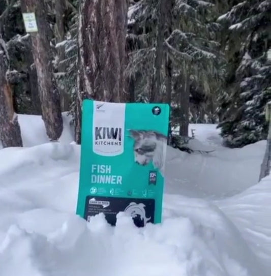 Fish Dinner Raw Freeze Dried Cat Food