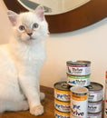 Load image into Gallery viewer, Complete Tuna Wet Kitten Food
