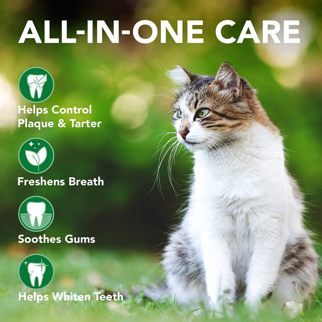 Dental Powder for Cats