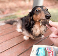 Load image into Gallery viewer, Treat your dog to Ziwi Venison Green Tripe: 100% free-range New Zealand venison tripe, air-dried for flavor without artificial additives!
