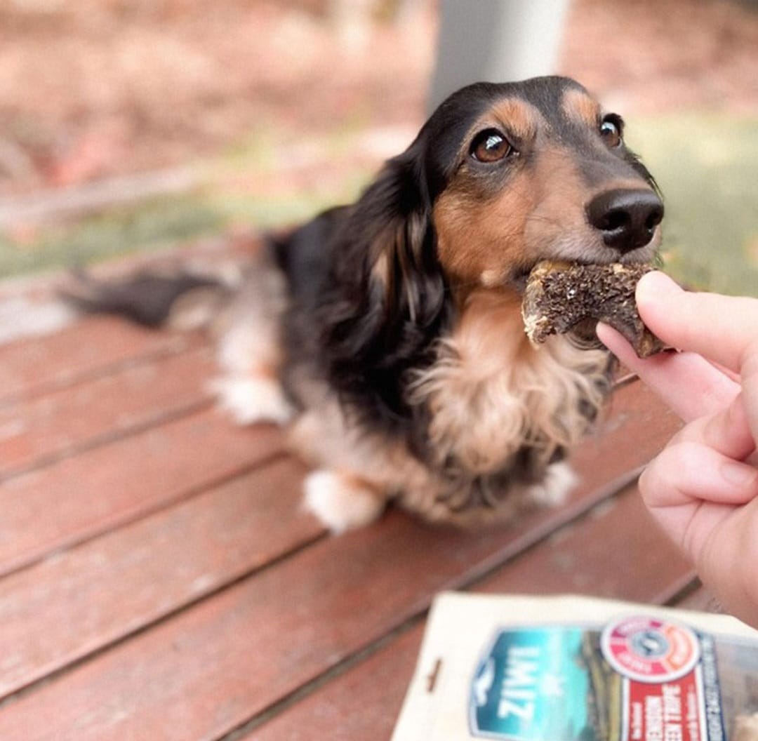 Treat your dog to Ziwi Venison Green Tripe: 100% free-range New Zealand venison tripe, air-dried for flavor without artificial additives!