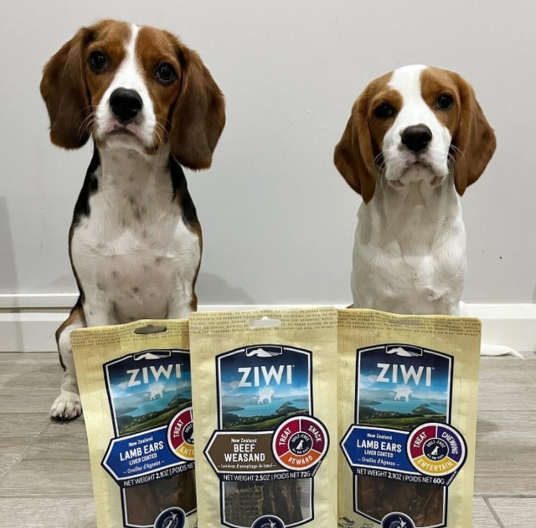 Ziwi Peak Lamb Ears-Liver Coated Treats