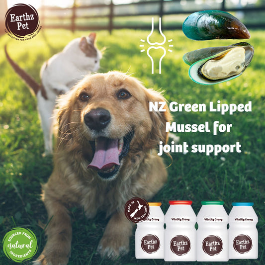 Lamb Health Topper for Dogs