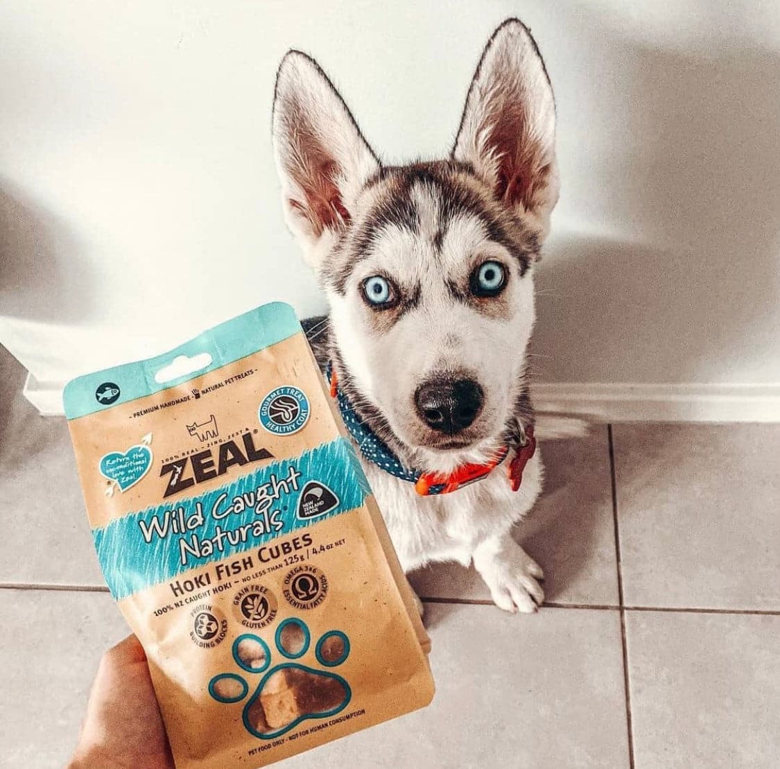 Zeal Hoki Fish Cubes Treats For Pets