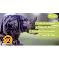 Load image into Gallery viewer, ProBio Paste for Cats & Kittens
