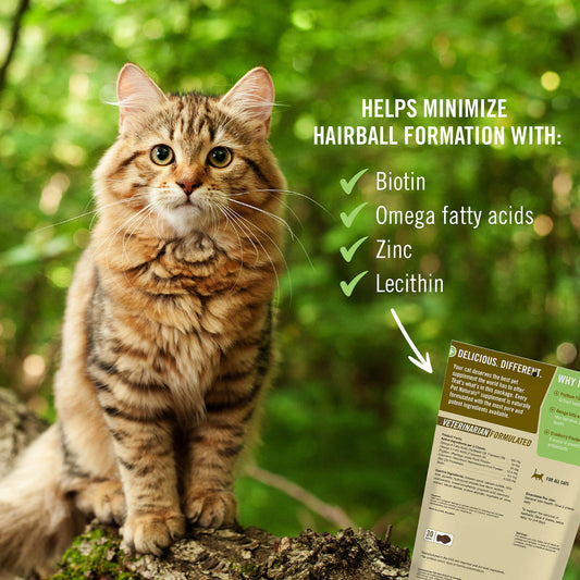 Hairball Remedy For Cats