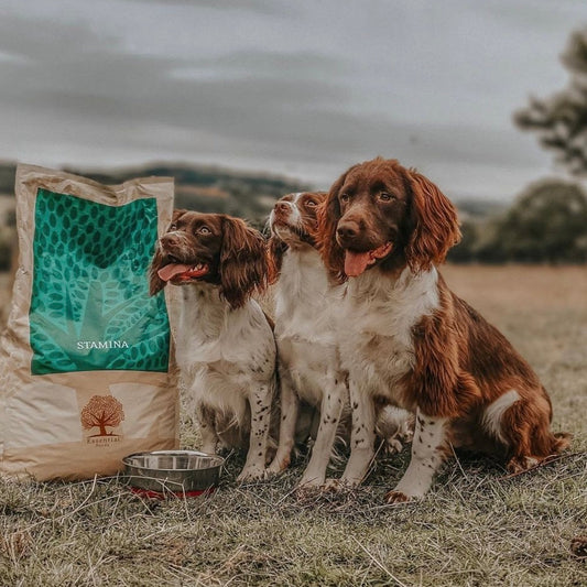 Stamina For Small Breeds