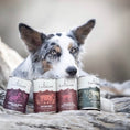 تحميل الصورة في عارض المعرض, Sheperds Pie Wet Food For Puppies & Adults
