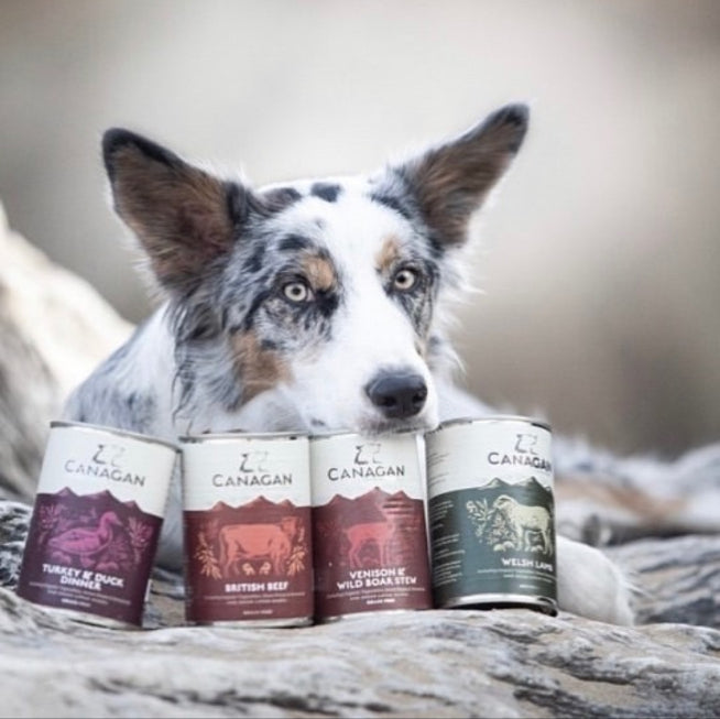 Sheperds Pie Wet Food For Puppies & Adults