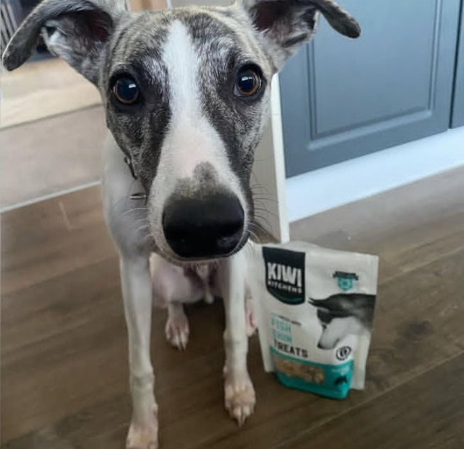 Freeze-Dried Dog Treat Fish Skin