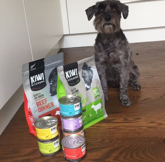 Kiwi kitchens Beef & Mussel Dinner Canned Puppy Food