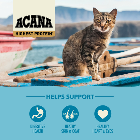 Highest Protein, Pacifica Cat Dry Food