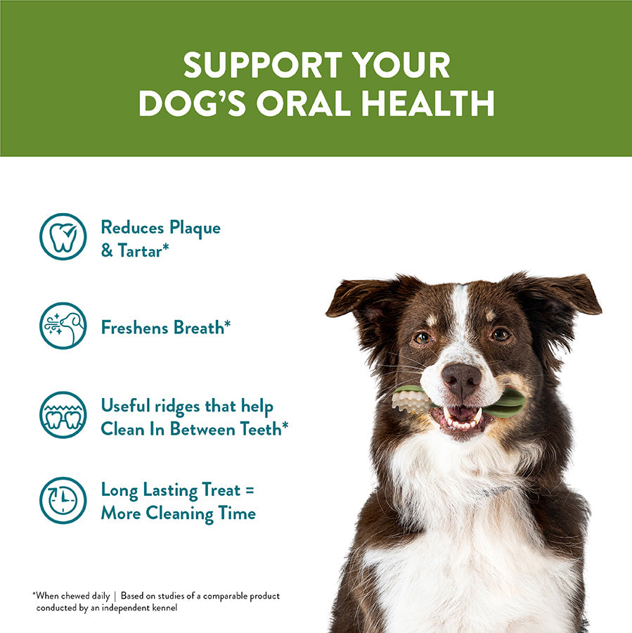 Daily Dental Toothbrush Medium Dog Chews
