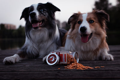 Freeze Dried Whole Fish Dog & Cat Treats