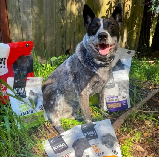 Kiwi Kitchens Raw Freeze Dried Chicken Liver Dog Treats