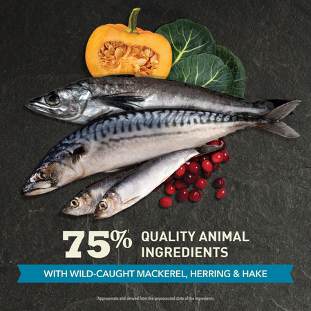 Highest Protein, Pacifica Cat Dry Food