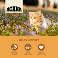 Load image into Gallery viewer, Highest Protein, Wild Prairie Cat Dry Food
