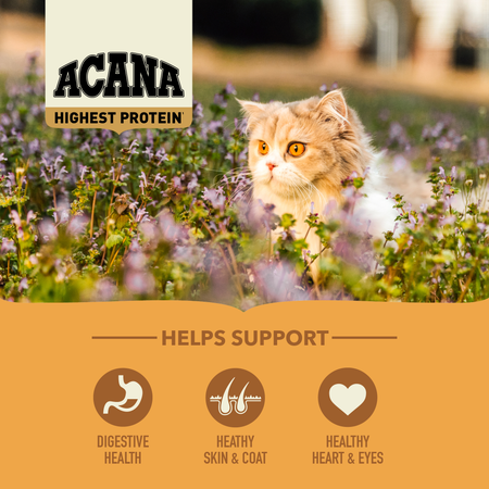 Highest Protein, Wild Prairie Cat Dry Food