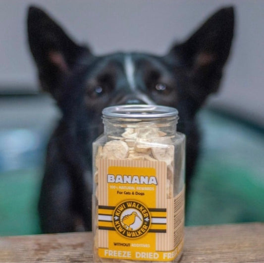 Freeze Dried Banana For Dogs and Cats