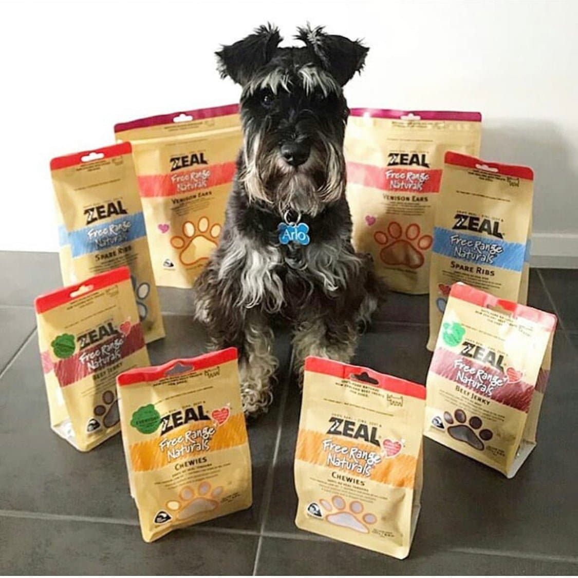 فيليه صدر دجاج مجفف