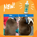 Load image into Gallery viewer, Shea Butter Shampoo
