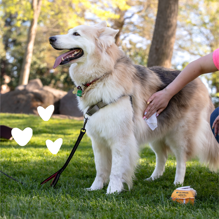 Grooming Wipes - Oatmeal & Aloe