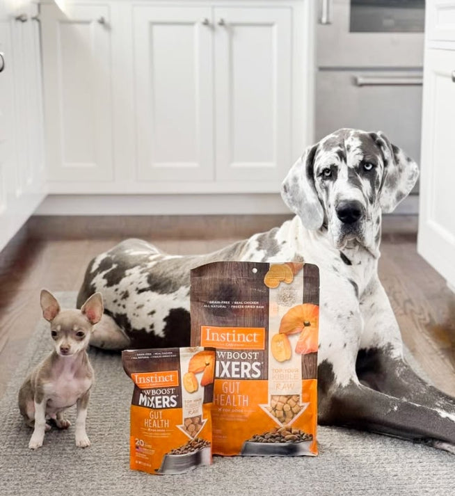 طعام الكلاب بنكهة الدجاج المجفف بالتجميد