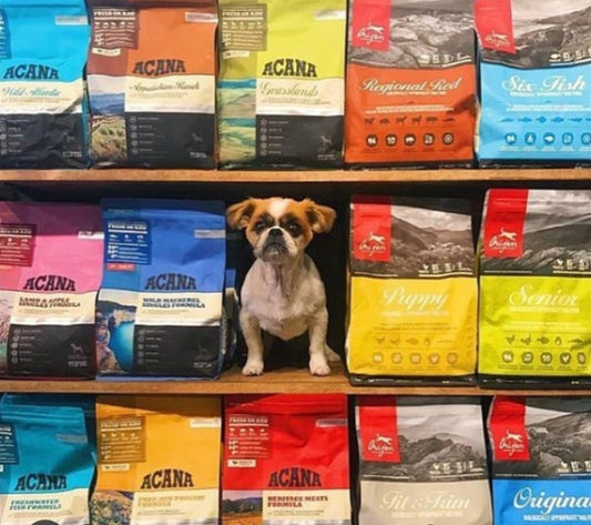 طعام جاف للكلاب البالغة – تركيبة متكاملة يومية