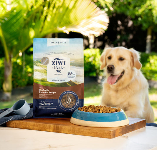 Steam & Dried Dog Food Beef with Pumpkin Recipe