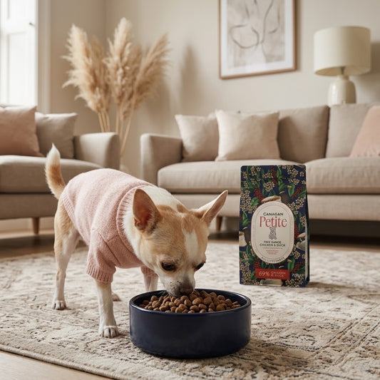 Petite Chicken & Duck Dry Food For Small Dogs