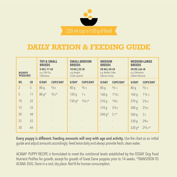 طعام جاف للجِراء