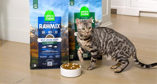 RawMix Wild Ocean Recipe Dry Cat Food