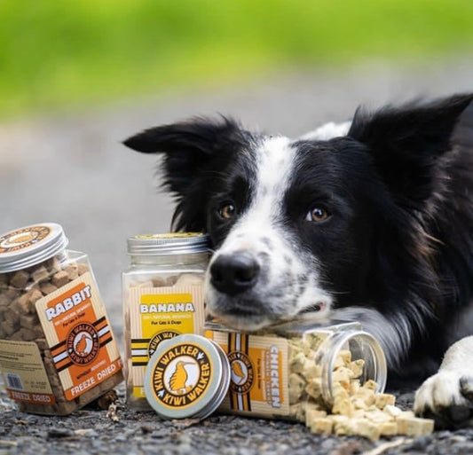 Freeze Dried Lamb Snack for Cats & Dogs