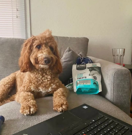 Kiwi Kitchens Freeze-Dried Dog Treat Fish Skin