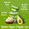 Load image into Gallery viewer, Shea Butter Shampoo
