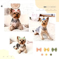 تحميل الصورة في عارض المعرض, Cute Macaron-Colored Solid-Color Pet Hair
