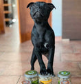 Load image into Gallery viewer, Freeze Dried Chicken Heart Snack for Cats & Dogs
