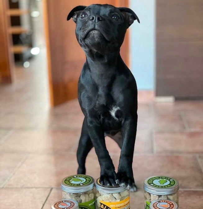 Freeze Dried Chicken Heart Snack for Cats & Dogs