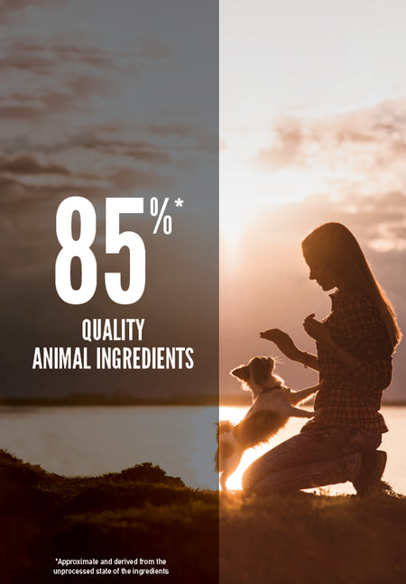 Small Breed Adult Dry Dog Food with Chicken Turkey Quail & Fish