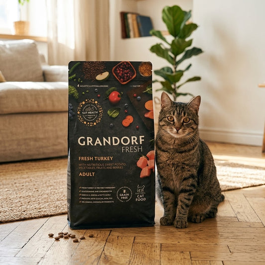Fresh Turky Meat With Sweet Potato For Adult Cats
