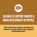 Load image into Gallery viewer, Chicken, Turkey & Fish Dry Food for Small Breed Puppies
