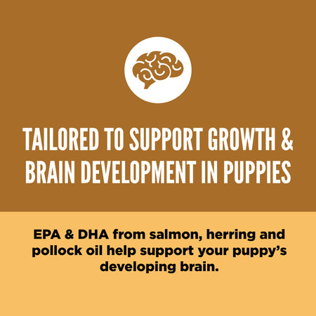 Chicken, Turkey & Fish Dry Food for Small Breed Puppies