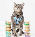 Load image into Gallery viewer, Limited Ingredient Diet Real Turkey Recipe For Cats
