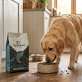 Load image into Gallery viewer, Scottish Salmon Dry Dog Food
For Puppies & Adults
