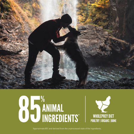 Chicken, Turkey & Fish Dry Food for Senior Dogs