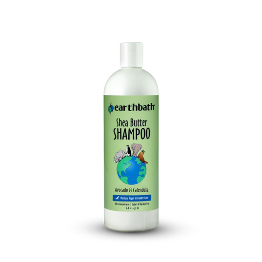 Shea Butter Shampoo