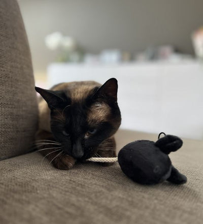 I Love Happy Cats Moosy Play Mouse Cat Toy