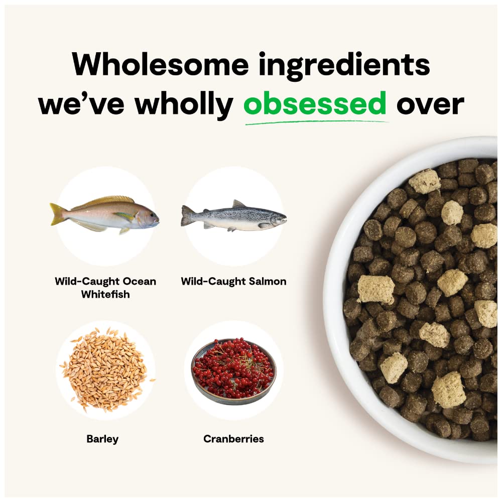 RawMix Wild Ocean Recipe Dry Dog Food
