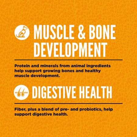 Chicken, Turkey & Fish Dry Food for Small Breed Puppies